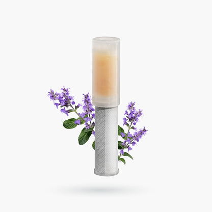 香氛濾芯2合1