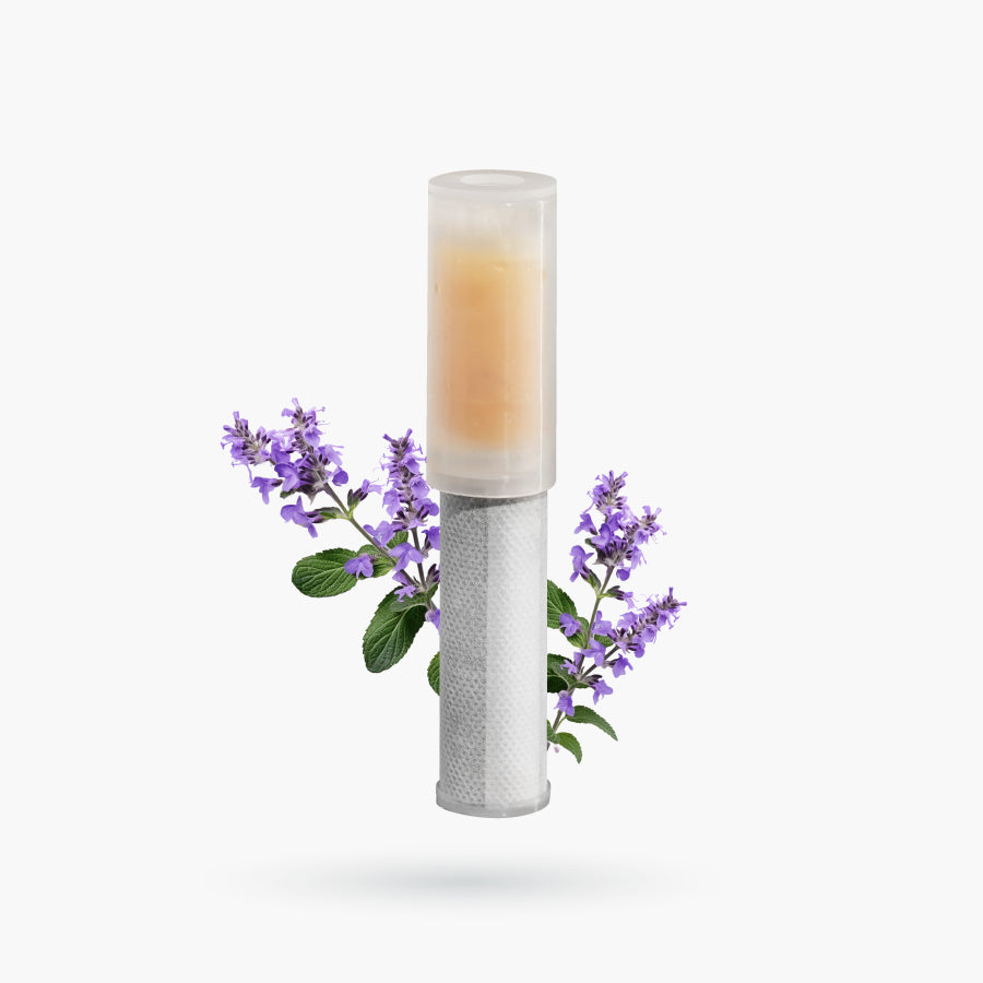 香氛濾芯2合1